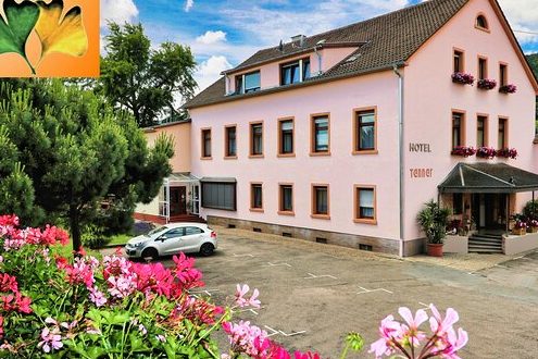 motels in neustadt an der weinstrase gunstige unterkunfte finden