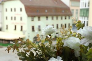 Neue Pension Stadtmitte Jena